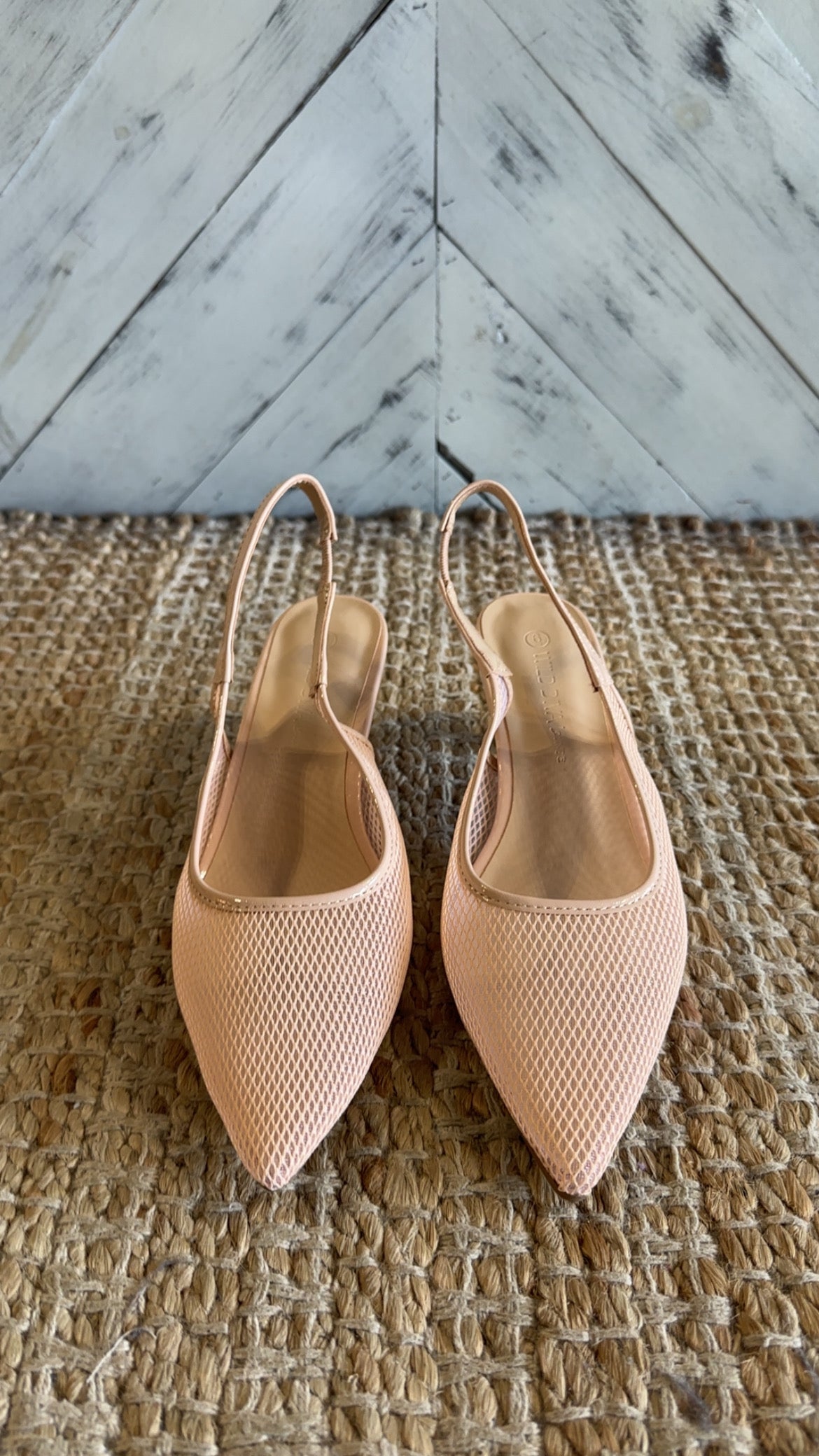 Nude Pointed-Toe Mesh Slingback Kitten Heels