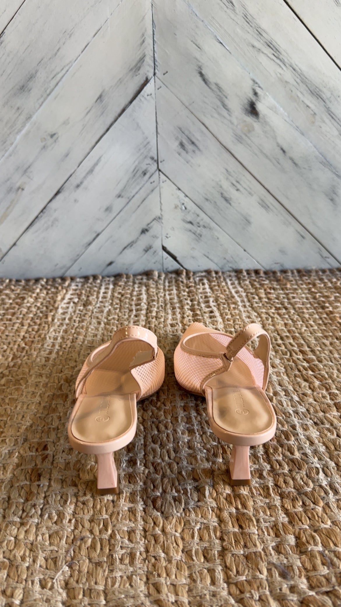 Nude Pointed-Toe Mesh Slingback Kitten Heels