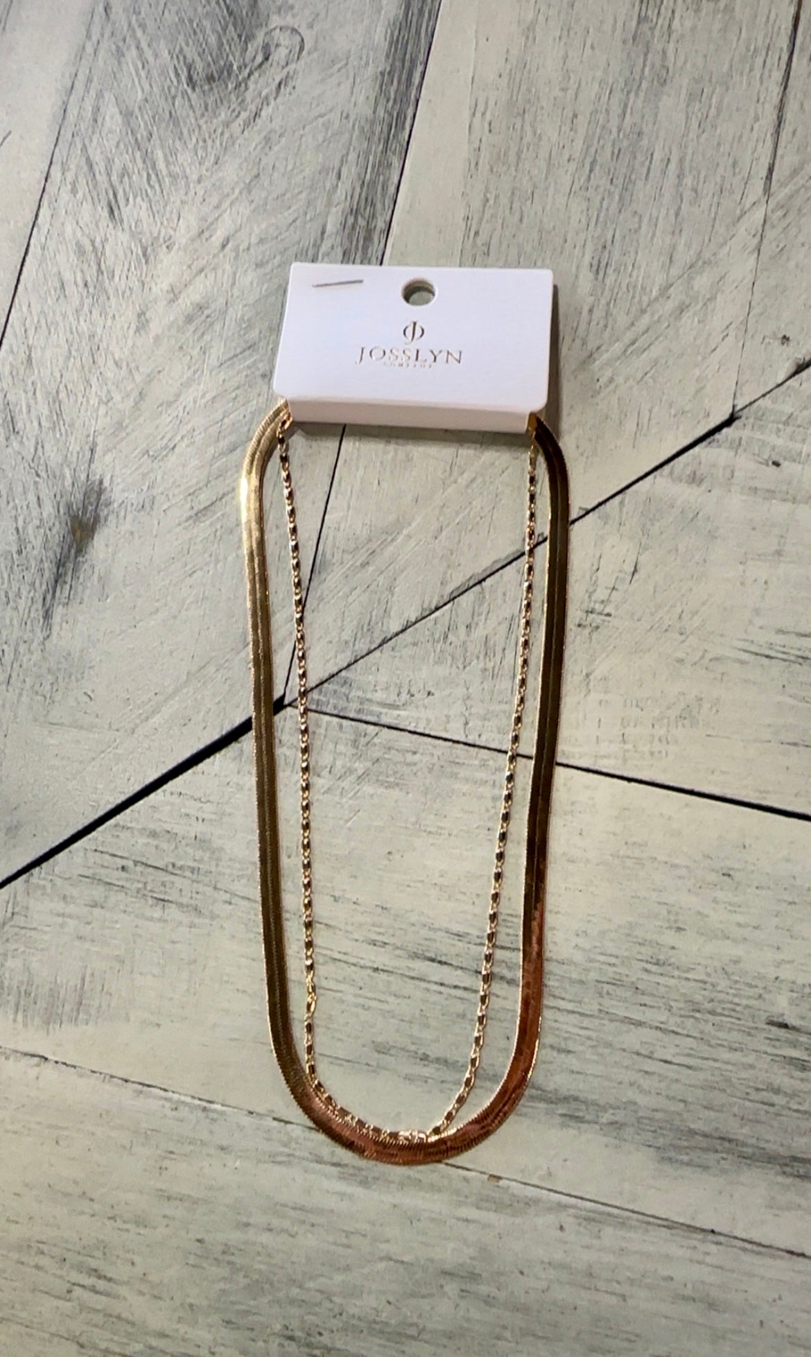 Double Snake & Largo Chain Necklace