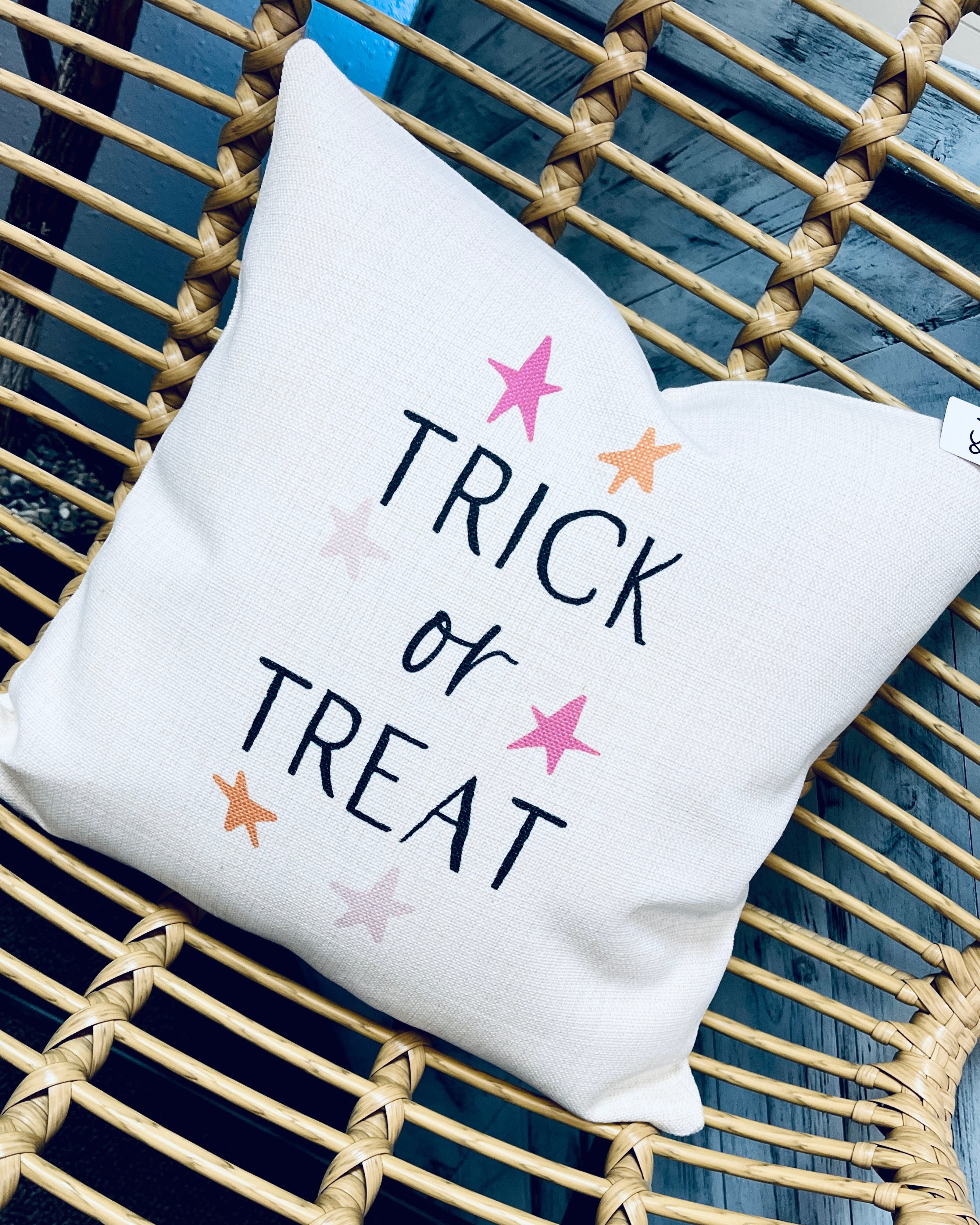 Trick or Treat Pillow